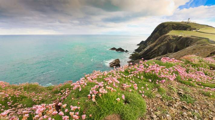 Sumburgh, Shetland Shutterstock 99993272