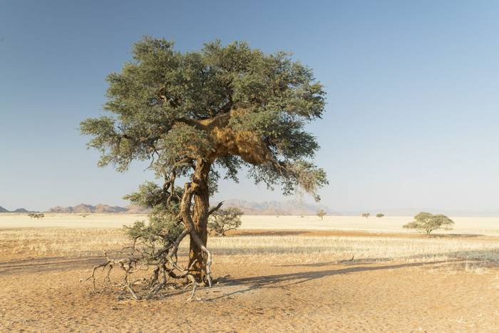 Namibian Landscape © Dr Kevin Elsby FRPS