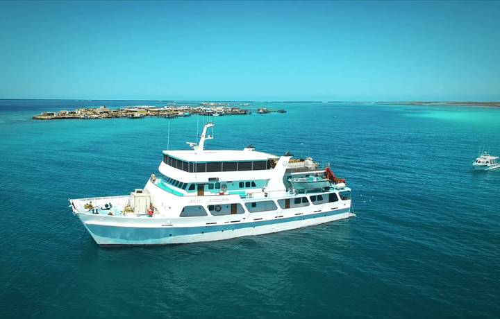 eco-abrolhos-Big-Pigeon-vessel.png eco-abrolhos-Big-Pigeon-vessel.png