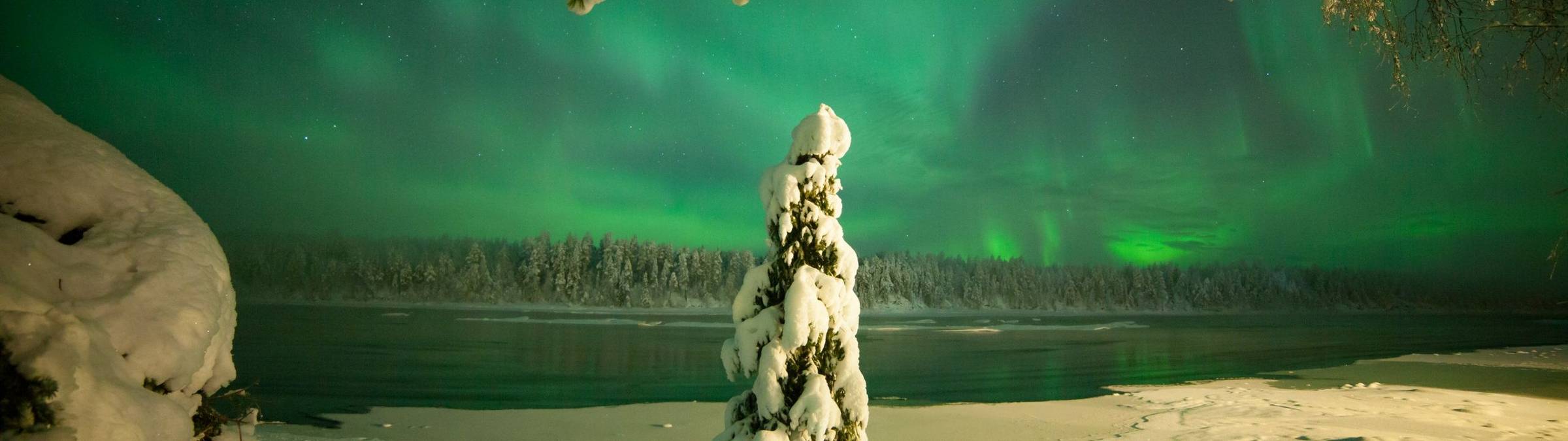 Credit - Antti Pietikainen (248).jpg