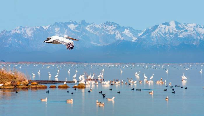 Akyatan lagoon, Turkey
