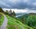 AdobeStock_321080711.jpeg