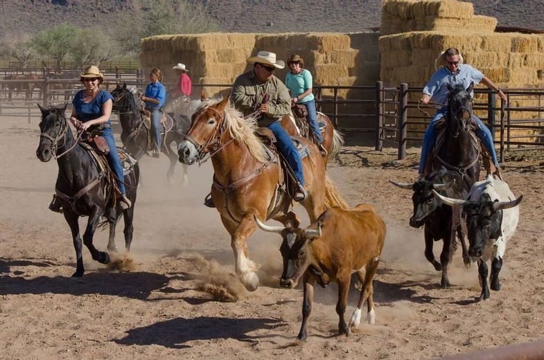 hidden-trails-white-stallion-ranch-arizona-horseback-riding-2.jpg