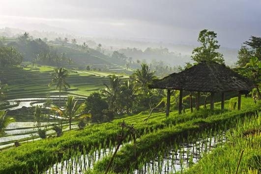 Balinese landscape