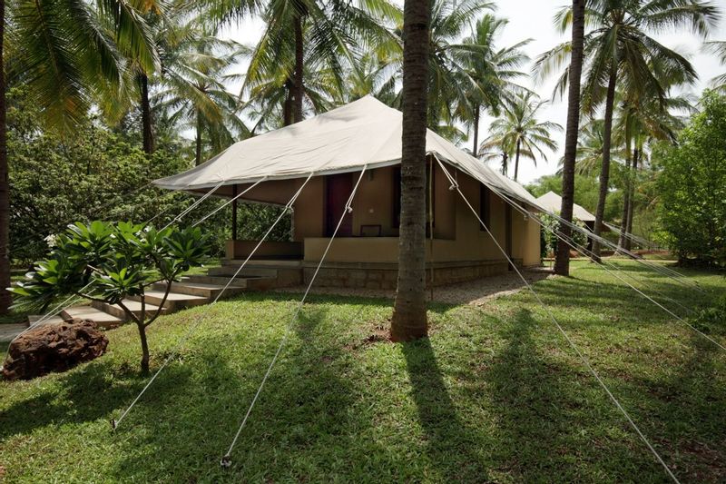 Tented cottage at Shreyas